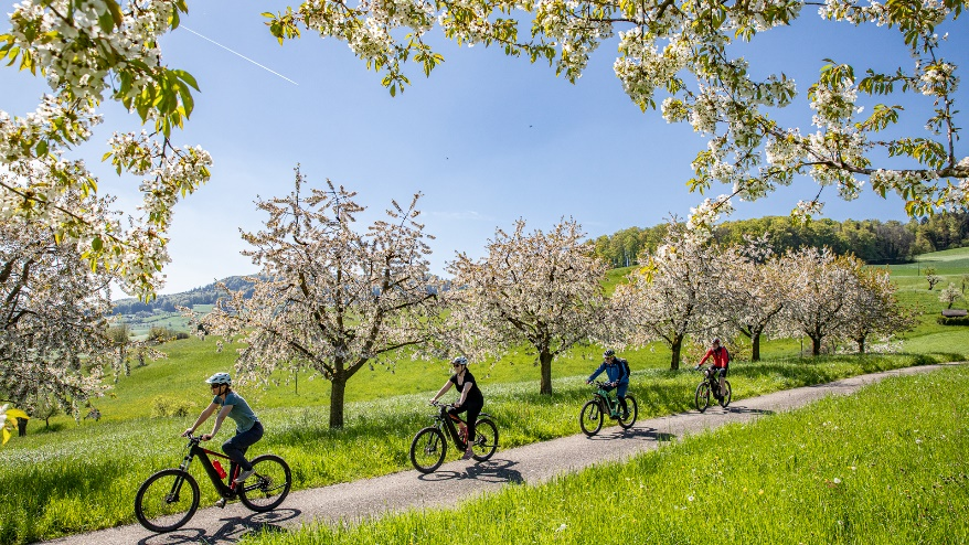 E-Bike und Velo